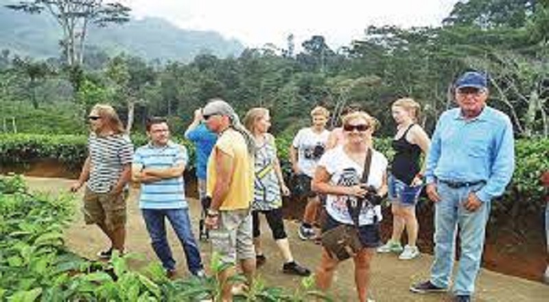 பயணிகளின் வருகையால் பெப்ரவரியில் 170 மில்லியன் டொலர் வருவாய் !!